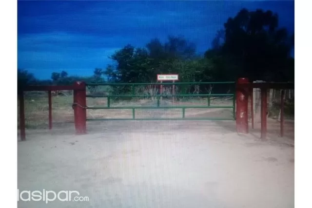 campo en la zona Pirizal,Boqueron 2,500,000,000 ₲ — foto 4