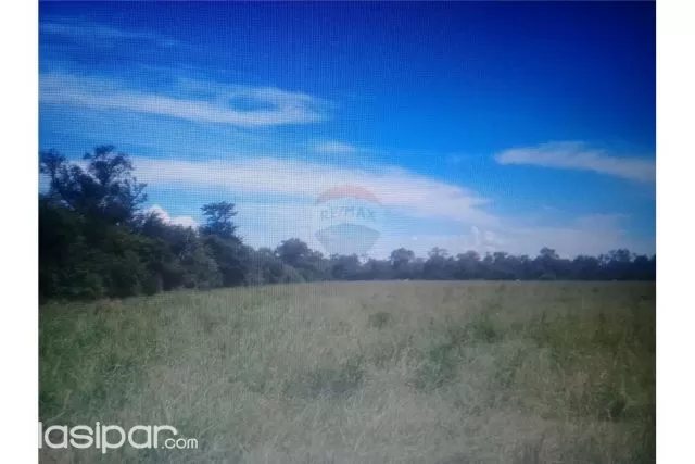 campo en la zona Pirizal,Boqueron 2,500,000,000 ₲ — foto 5