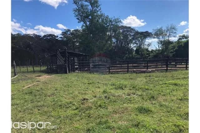 Campo en Paraguarí Zona la Colmena 400,000 USD, foto 3