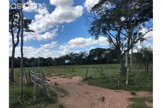 Campo en Paraguarí Zona la Colmena 400,000 USD, foto 4