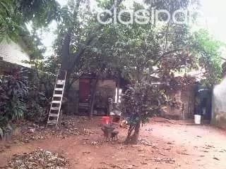 Terreno con casa a demoler en fdo. De la mora. M6008, foto 4