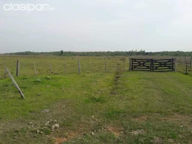 Atyra, cordillera: 278 has, magnifico establecimiento, p/ criadero, agroforestal, foto 3