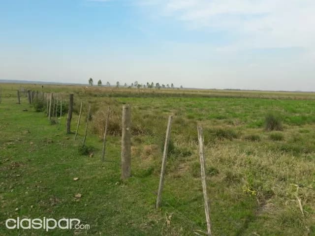 Atyra, cordillera: 278 has, magnifico establecimiento, p/ criadero, agroforestal, foto 4