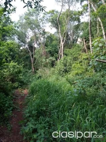 P.j caballero, cerro cora’i — foto 4