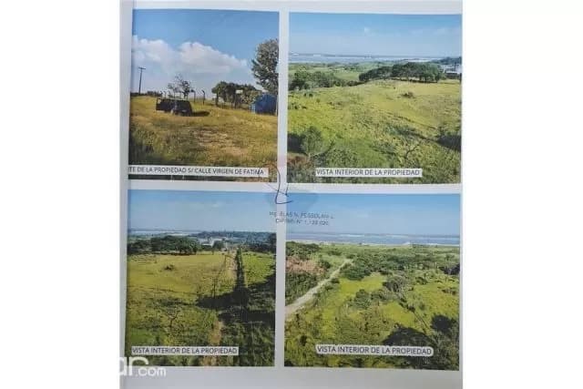 Terreno de más de 5 has. en Mariano, foto 4