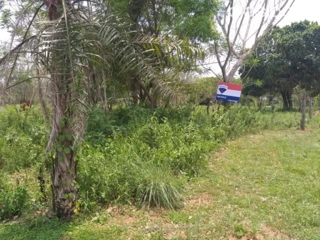 Lindo-Economico Terreno en VILLETA para inversion — foto 3