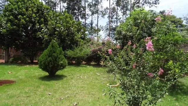 Para amantes de la tranquilidad y la naturaleza! Especial para tu casa quinta! 02 terrenos, foto 3
