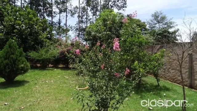 Para amantes de la tranquilidad y la naturaleza! Especial para tu casa quinta! 02 terrenos, foto 4