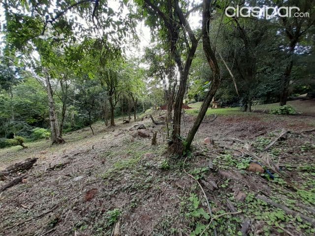 En el parana country club 1000m2 sobre asfalto y a orillas del acaray — foto 1