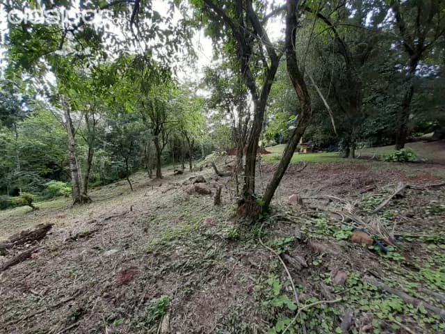 En el parana country club 1000m2 sobre asfalto y a orillas del acaray — foto 2
