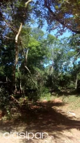 Ypane / paso de oro ofertaza!!: Sólo 1.200 millones guaraníes, 4.6 hectáreas, foto 5