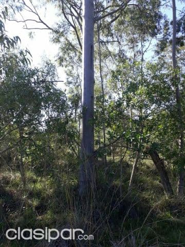 11 ha. en Acuña Altos