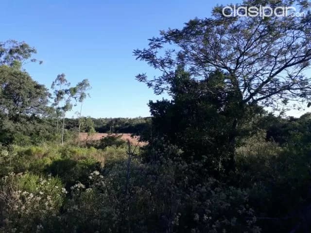 11 ha. en Acuña Altos, foto 4