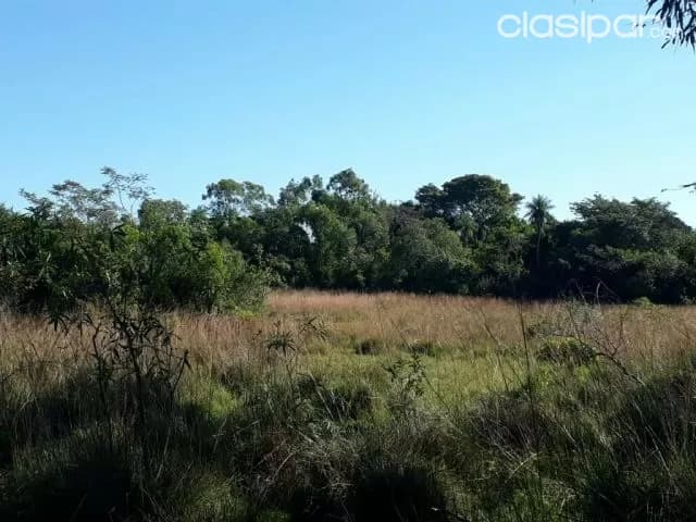 11 ha. en Acuña Altos, foto 5