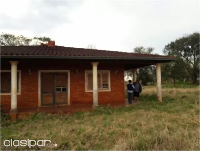 Monday (minga guazú – alto paraná): 21 maravillosas hectáreas, agro forestales, sojeras, foto 2