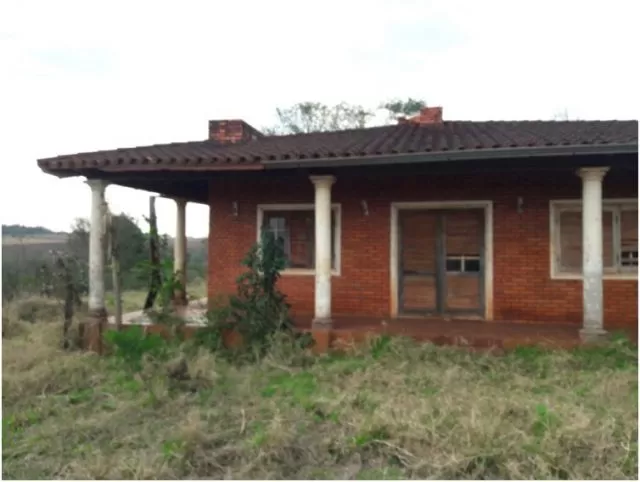 Monday (minga guazú – alto paraná): 21 maravillosas hectáreas, agro forestales, sojeras, foto 3