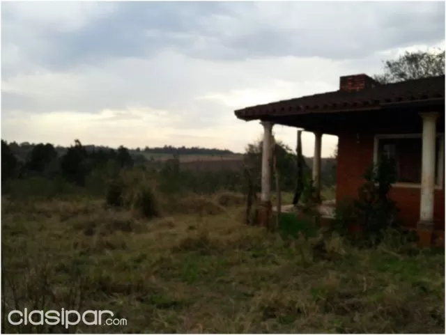 Monday (minga guazú – alto paraná): 21 maravillosas hectáreas, agro forestales, sojeras, foto 4