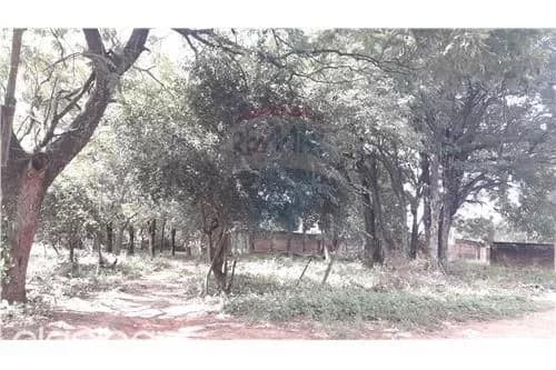 Mr alonso: Estratégica ubicación, 2.971 m2, ideales p/ emprendimientos inmobiliarios — foto 3