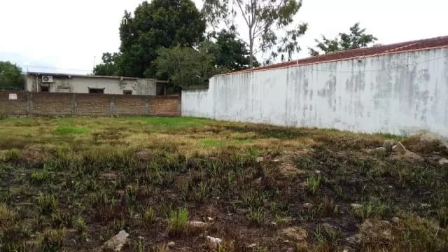 Mr alonso (col. Ebenezer, transchaco, av. Gral díaz): Maravillosos 720 m2 — foto 5