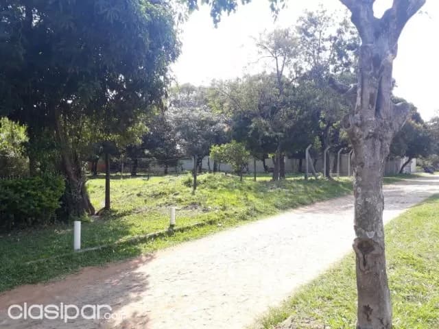 2 terrenos juntos o separados, zona cit (zona alta), Luque. J4032, foto 3
