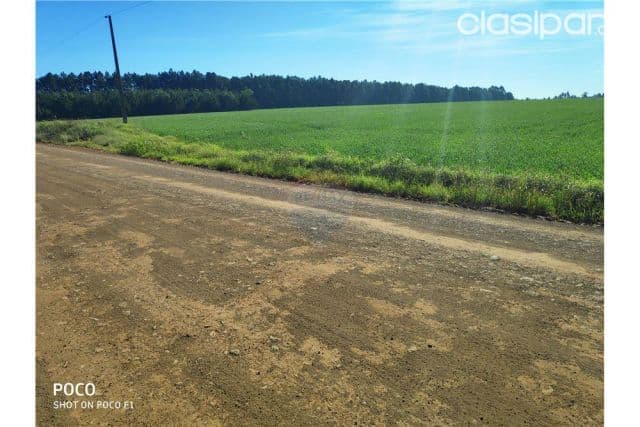 terreno agricola en Fram 1,500,000,000 ₲ — foto 1
