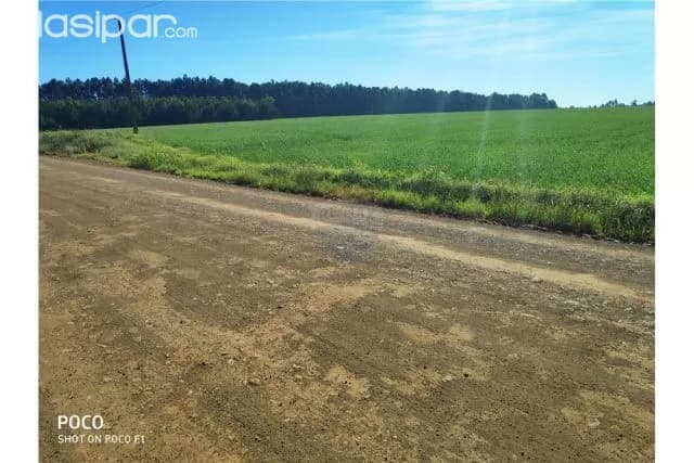 terreno agricola en Fram 1,500,000,000 ₲ — foto 2