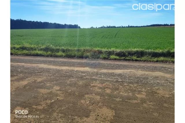 terreno agricola en Fram 1,500,000,000 ₲ — foto 3