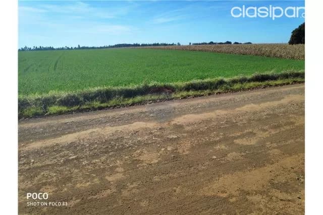 terreno agricola en Fram 1,500,000,000 ₲ — foto 4