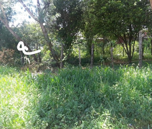 Mr alonso (prox. Transchaco, stock): 740 m2 titulados, ideal p/ residencia y dúplex