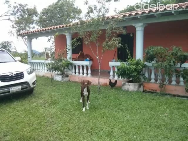 Escobar, paraguarí: 180 has, totalmente trabajadas, p/ agricultura, ganadería, foto 3
