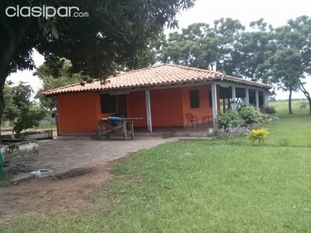 Escobar, paraguarí: 180 has, totalmente trabajadas, p/ agricultura, ganadería, foto 5