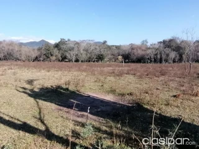 terrenos en colonia independencia, foto 4