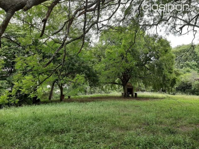 Puerto pabla (Lambaré): Inmejorables 21.000 m2, s/ rio paraguay, barranca alta, foto 1