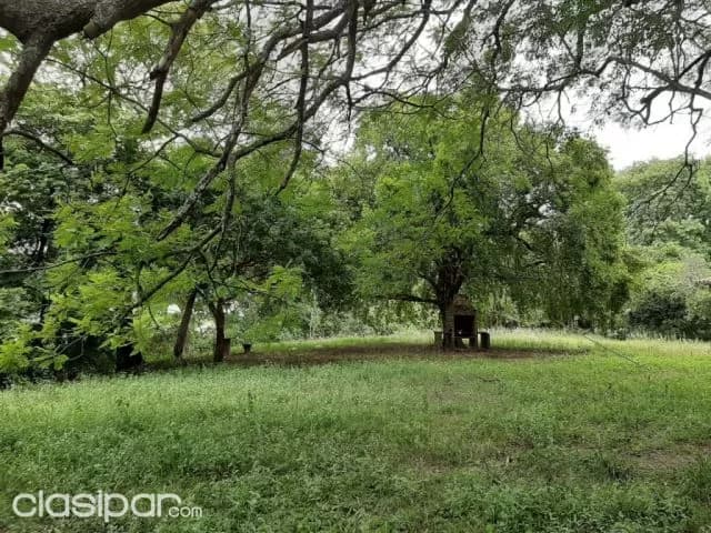 Puerto pabla (Lambaré): Inmejorables 21.000 m2, s/ rio paraguay, barranca alta, foto 2