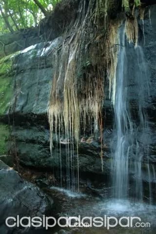 Paraguarí: Hermosa propiedad, 33 has, bosques, arroyos, serranías, una belleza!! — foto 3