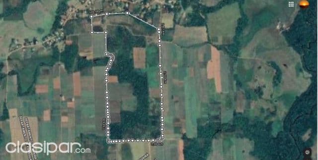 Itape (paraguari – villarrica): 40 maravillosas has, parcialmente mecanizada, agricola