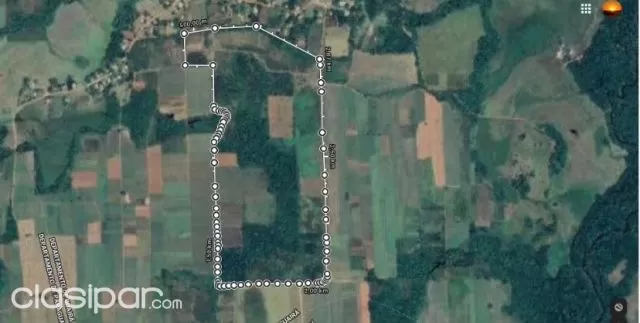 Itape (paraguari – villarrica): 40 maravillosas has, parcialmente mecanizada, agricola — foto 2