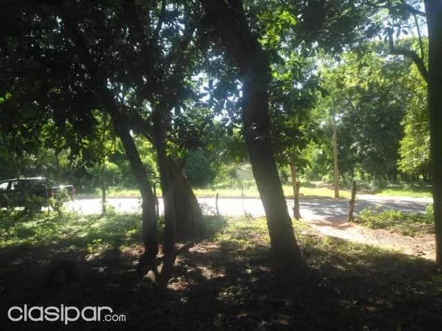 Oportunidad en Luque: 2 hectáreas sobre asfalto – (maramburé) - 370.000 usd — foto 2
