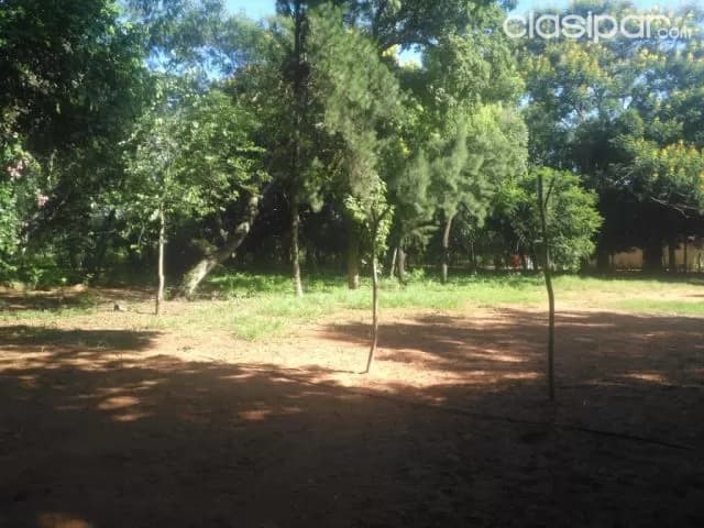 Oportunidad en Luque: 2 hectáreas sobre asfalto – (maramburé) - 370.000 usd — foto 3