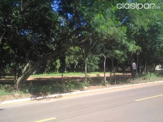 Oportunidad en Luque: 2 hectáreas sobre asfalto – (maramburé) - 370.000 usd — foto 4