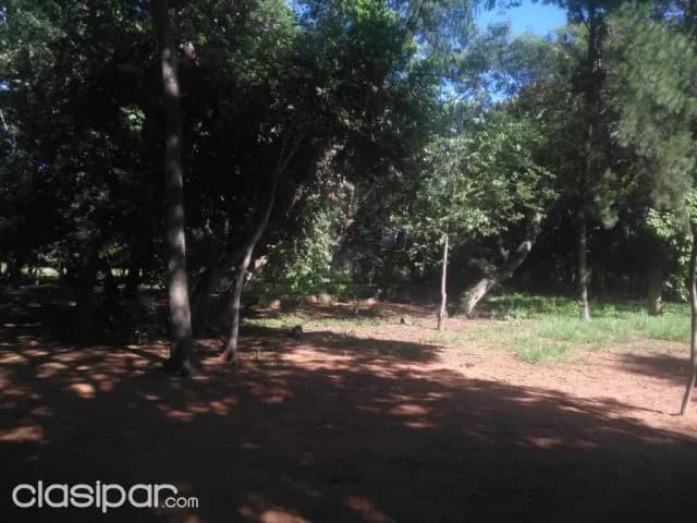 Oportunidad en Luque: 2 hectáreas sobre asfalto – (maramburé) - 370.000 usd — foto 5