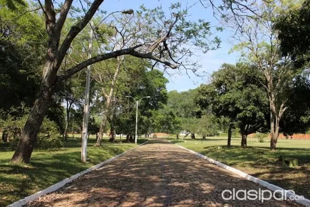Terreno en venta en Villa Delfina San Bernardino — foto 5