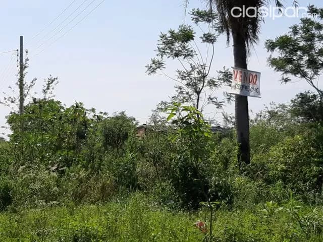 Terreno en capiata ruta 1 barrio posta ybycua — foto 2