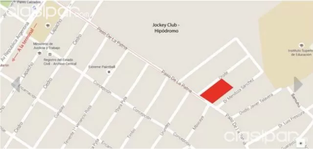 Z. Hipodromo : Inmejorable !!- 7.000 m2 de bosques p/ desarrolo inmobiliario de alto nivel, foto 2