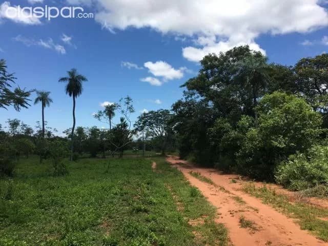 Propiedad de 2 hectareas 6,852 metros en itaugua cod 2698, foto 2