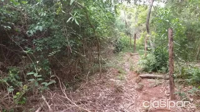 Oferta de 700 ha. en Nueva Colombia, foto 3