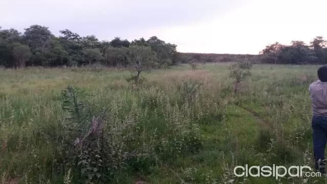 Oferta de 700 ha. en Nueva Colombia, foto 4