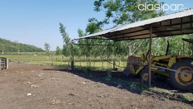 Estancia formada en nueva italia — foto 4
