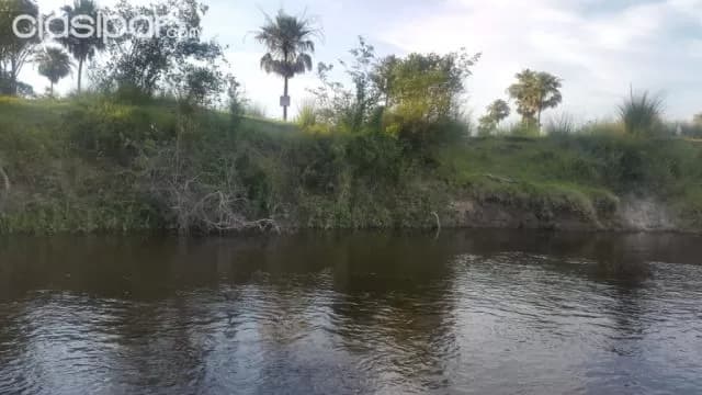 Villa oliva, villeta: 9,5 hectáreas, granja quinta en funcionamiento, a sólo 1 hora de asu — foto 5