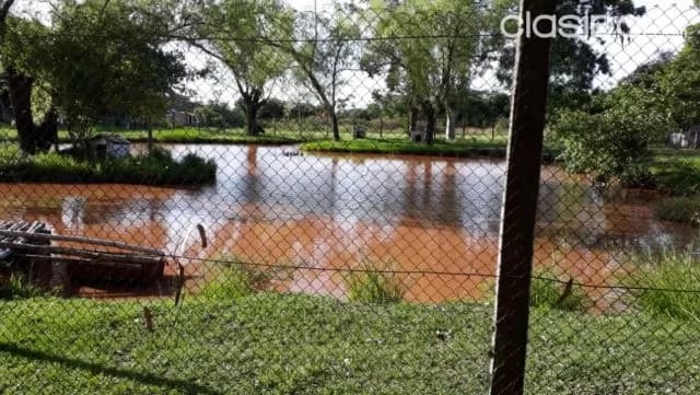 Luque, rakiura, san ber: 24.000 m2, hermosa casa quinta, belleza total, 750.000 usd, foto 5